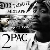 2-PAC TRIBUTE