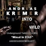 ANDREAS KREMER - Into the Wild - Underground Tekkno DJ Mix - Mixed in 2001 - www.andreaskremer.net