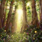 Wolle@ Fantasy Forest 2015