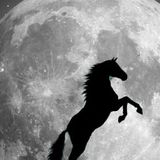 Moonride (June 2015)