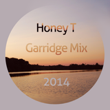 Garridge Mix 2014
