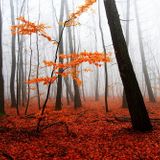 Kloud NIN9-Promo Mix (October 2011)