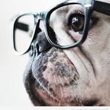 Never trust a Hipster (chapter III)