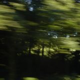 der anke gräbt'n loch