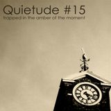 Quietude #15: Trapped in the Amber of the Moment