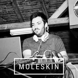 Moleskin // Stefan Mironov
