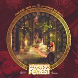 ELECTRIC FOREST 2015 ENTRY