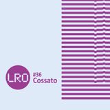 Life Force Radio observatory #36 With Cossato