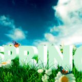 Spring promo mix