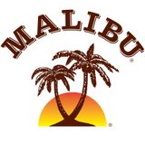 Party at Club MaLiBu