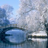 Winter 2016
