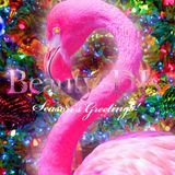 Seasons Greetings! from Beauty DJs