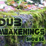 Dub Awakenings Show 56
