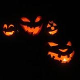 techno october extender podcast ockra sl
