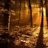 November 2011 Studio Mix