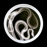 Rotation - 24th April 2014