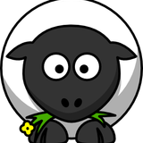 Sheep In The Place