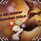 Nur ein kleines Stückchen Glück