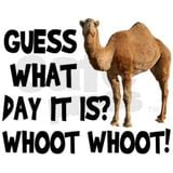Dj Disco Assasin - 060315 - Hump Day House Podcast 014.MP3