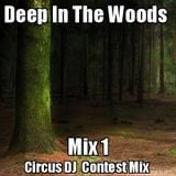 Deep In The Woods Mix 1 (Techno / Tech House Circus DJ Contest Mix)
