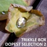 Trikkle Box - Dopest Selection 2 (Vinyl DJ-Mix)