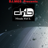 DJ.MGS Presents: Drum 'n' Bass Heads Vol.1