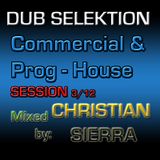 Dub Selektion - Commercial & Prog-House Session 3-2012