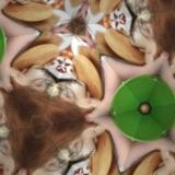 Tracks:Knecht - M.C. KrempelTierchen