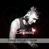Sesion Vocal House by Black Flamingo