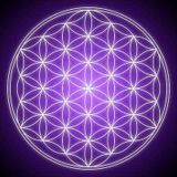 A Tribute To Merkaba