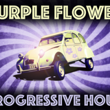 Purple Flower Progressive Hour with Ray Wilson interview!