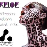 Orelse || Bedroom Bedlam Guest Mix || Proton Radio