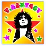 An Interview with Danielz from T.Rextasy - CHBN Radio