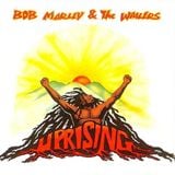 La tienda de vinilos de la Radio Meztiza! Bob marley!! uprising!!!