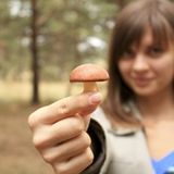 mycophobia in nature - global beat & jungle warm up