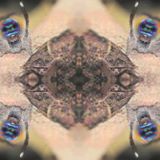 Trunkfunk Podcast 11