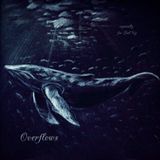Overflows