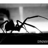 Dion-Black Widows