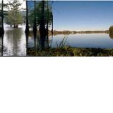 Louisiology 6 - Baton Rouge Lakes