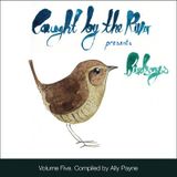 birdsongs