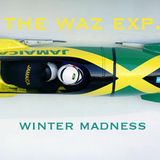 THE WAZ EXP. - Winter Madness