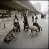 Fresh Sonic Produce - African Hip Hop