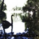 Circuncelion - Carved in waters