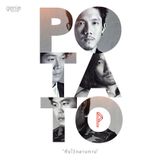 รวมเพลง Potato