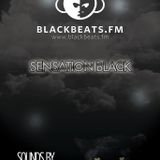 BLACK PANTHER - SENSATION BLACK (Show vom 10.02.16)