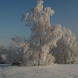 Anub1s - Winter`s depression