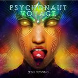 PSYCHONAUT VOYAGE