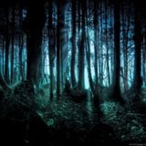 Psychedelic Mystery - Timothy L.