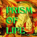 ENIGMA - Prism of Life