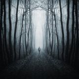 Lost